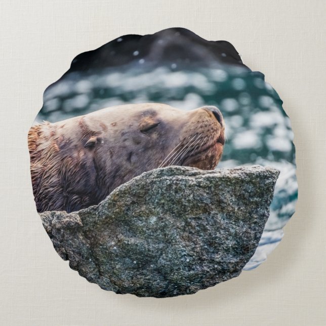 Zee leeuw in de herrijzingsbaai, Alaska Rond Kussen (Achterkant)