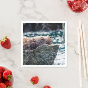 Zee leeuw in de herrijzingsbaai, Alaska Servet