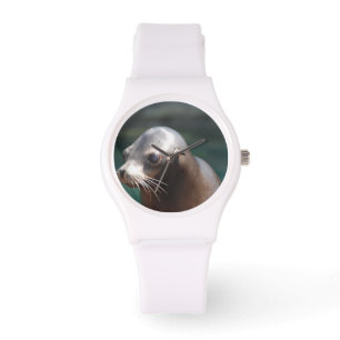 Zee leeuw met een klauterzijde horloge