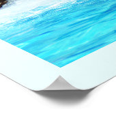 Zee leeuw met trainer poster (Hoek)