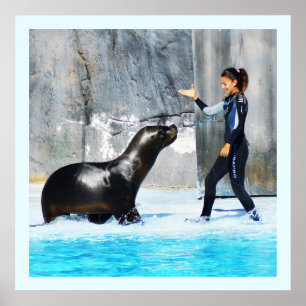 Zee leeuw met trainer poster