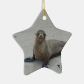 Zee Leeuw op de Galapagos-eilanden!! Keramisch Ornament (Rechts)