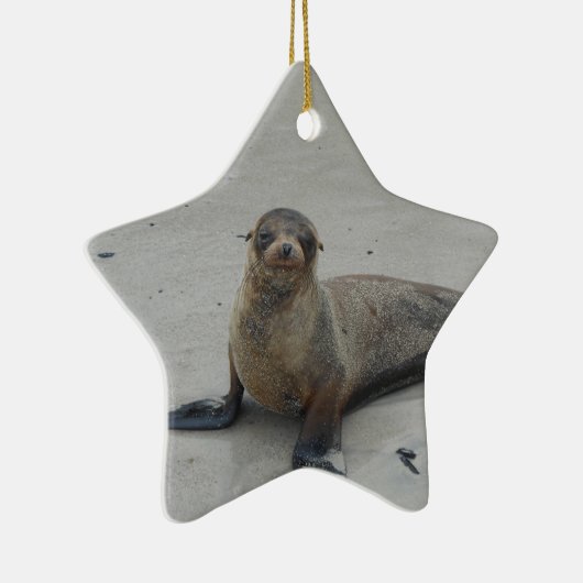 Zee Leeuw op de Galapagos-eilanden!! Keramisch Ornament (Rechts)