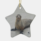 Zee Leeuw op de Galapagos-eilanden!! Keramisch Ornament (Links)