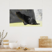 Zee leeuw poster (Keuken)