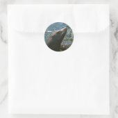 Zee Leeuw Stickers (Tas)
