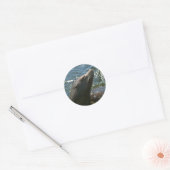 Zee Leeuw Stickers (Envelop)