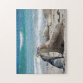 Zee leeuw zealion schattige baby, kinder 252 legpuzzel (Verticaal)