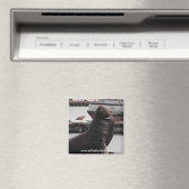 zee leeuw zeilen handvol magneet (Insitu (Vaatwasser))