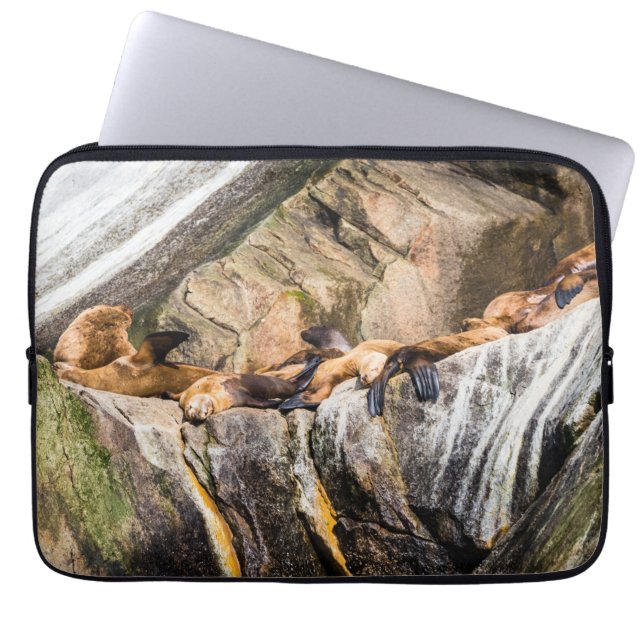 Zee leeuwen die op de rotsen liggen laptop sleeve (Voorkant)