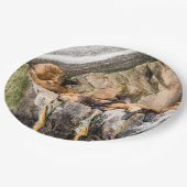 Zee leeuwen die op de rotsen liggen papieren bordje (Gekanteld)