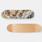 Zee leeuwen die op de rotsen liggen persoonlijk skateboard (Horizontaal)