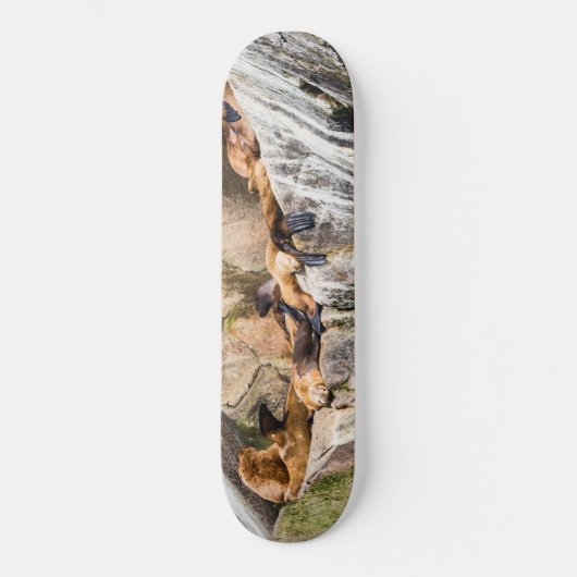 Zee leeuwen die op de rotsen liggen persoonlijk skateboard (Voorkant)