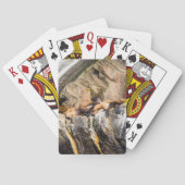 Zee leeuwen die op de rotsen liggen pokerkaarten (Achterkant)