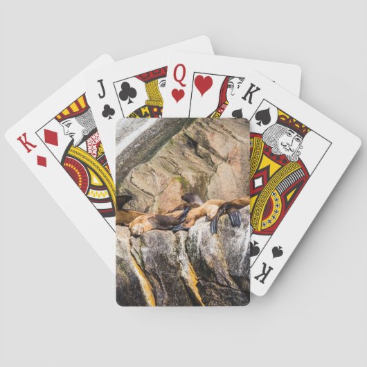 Zee leeuwen die op de rotsen liggen pokerkaarten (Achterkant)