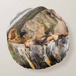 Zee leeuwen die op de rotsen liggen rond kussen