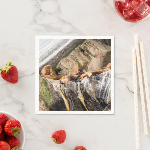 Zee leeuwen die op de rotsen liggen servet