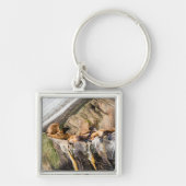 Zee leeuwen die op de rotsen liggen sleutelhanger (Voorkant)