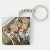 Zee leeuwen die op de rotsen liggen sleutelhanger (Achterkant)