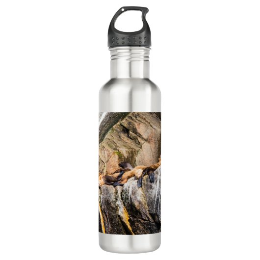 Zee leeuwen die op de rotsen liggen waterfles (Voorkant)