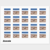 Zee leeuwen die op strand rusten vierkante sticker (Vel)