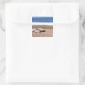 Zee leeuwen die op strand rusten vierkante sticker (Tas)