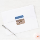 Zee leeuwen die op strand rusten vierkante sticker (Envelop)