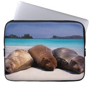 Zee leeuwen die op strand slapen Ecuador Laptop Sleeve