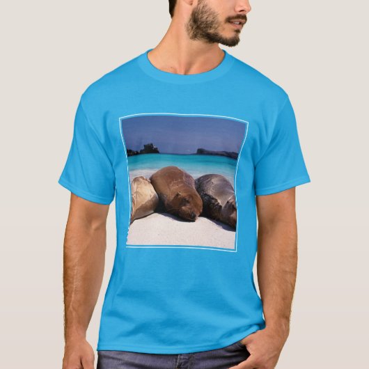 Zee leeuwen die op strand slapen | Ecuador T-shirt (Voorkant)