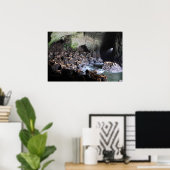 Zee-leeuwen in grotafdrukken poster (Thuiskantoor)