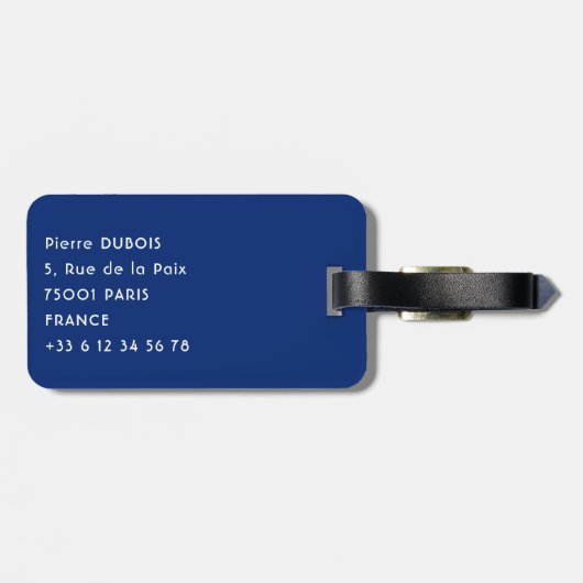 Zee leeuwen in het beagle kanaal - Argentinië Bagagelabel (Achterkant horizontaal)