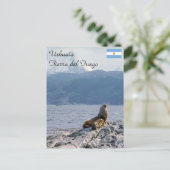 Zee leeuwen in het beagle kanaal - Argentinië Briefkaart (Staand voorkant)