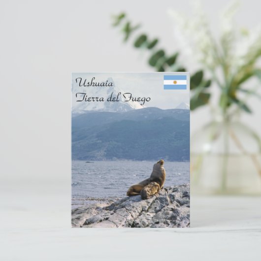 Zee leeuwen in het beagle kanaal - Argentinië Briefkaart (Staand voorkant)