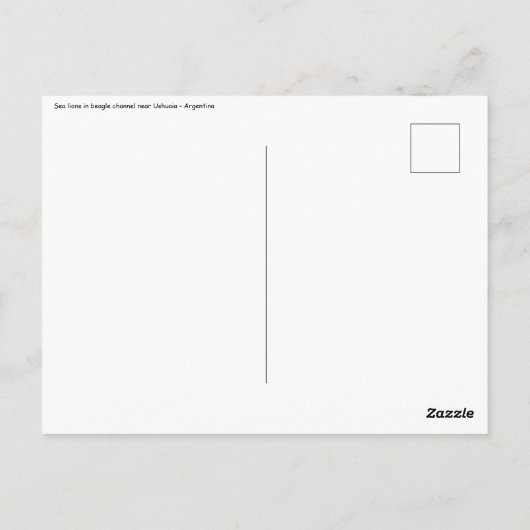 Zee leeuwen in het beagle kanaal - Argentinië Briefkaart (Achterkant)