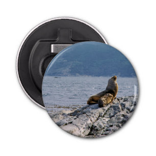 Zee leeuwen in het beagle kanaal - Argentinië Button Flesopener