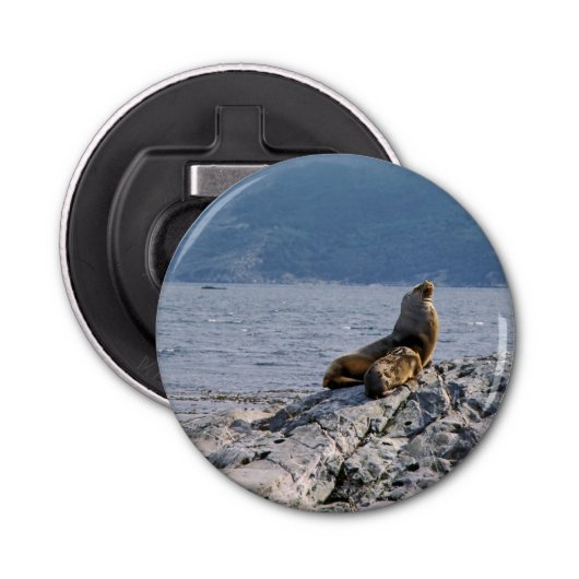 Zee leeuwen in het beagle kanaal - Argentinië Button Flesopener (Voorkant)
