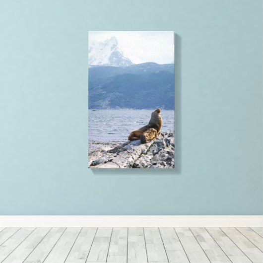 Zee leeuwen in het beagle kanaal - Argentinië Canvas Afdruk (Insitu (Houten vloer))