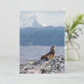 Zee leeuwen in het beagle kanaal - Argentinië Kaart (Staand voorkant)