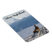 Zee leeuwen in het beagle kanaal - Argentinië Magneet (Rechterzijde)