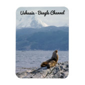 Zee leeuwen in het beagle kanaal - Argentinië Magneet (Verticaal)