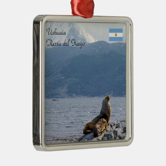 Zee leeuwen in het beagle kanaal - Argentinië Metalen Ornament (Rechts)