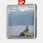 Zee leeuwen in het beagle kanaal - Argentinië Metalen Ornament (Links)