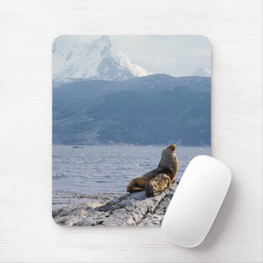 Zee leeuwen in het beagle kanaal - Argentinië Muismat (Met muis)