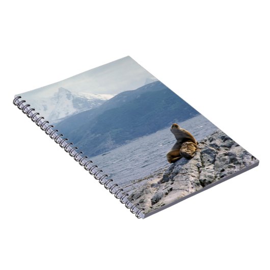 Zee leeuwen in het beagle kanaal - Argentinië Notitieboek (Rechterzijde)