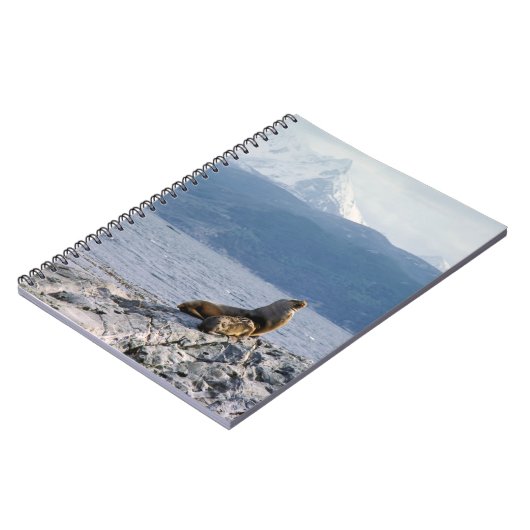 Zee leeuwen in het beagle kanaal - Argentinië Notitieboek (Linkerzijde)