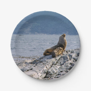 Zee leeuwen in het beagle kanaal - Argentinië Papieren Bordje
