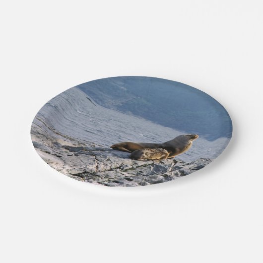 Zee leeuwen in het beagle kanaal - Argentinië Papieren Bordje (Gekanteld)