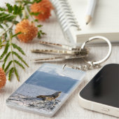 Zee leeuwen in het beagle kanaal - Argentinië Sleutelhanger (Voorkant Rechts)