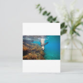Zee leeuwen onder water Galapagos Briefkaart (Staand voorkant)