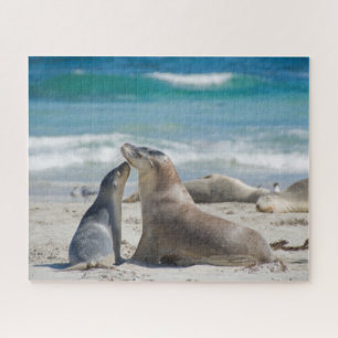 Zee leeuwen op het strand in Australië, 520 stuks Legpuzzel